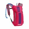 Camelbak Mini M.U.L.E. Hot Pink-purple Stripe Kinderrucksack Mit 1.5 L Trinksystem